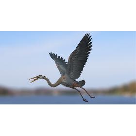 Santa, Sleigh and Reindeer